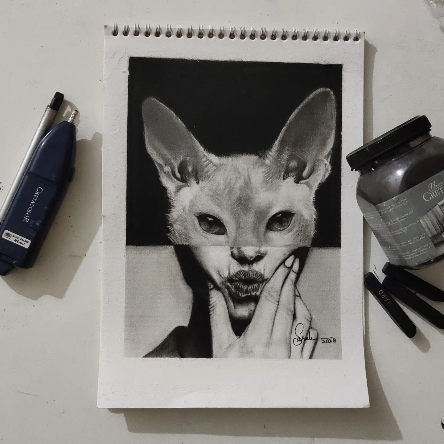 A Animal Img with Charcoal and with harsh shape